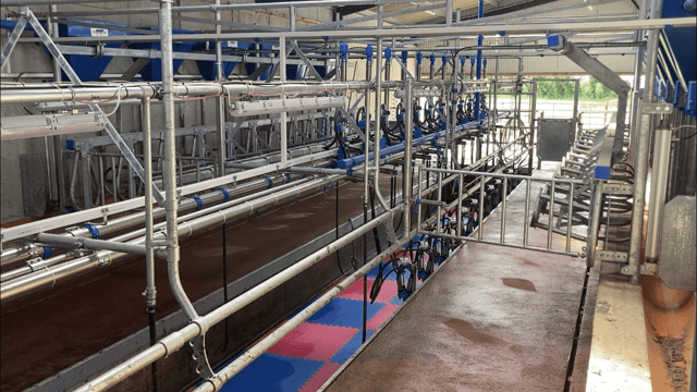 Buildings Focus: 12-unit parlour for a 52-cow herd in Westmeath