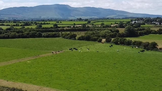 Carrick-on-Suir farm 'one of finest on market'
