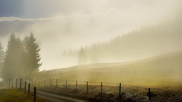 €2.1m approved by EU Commission to support  Slovenian farmers
