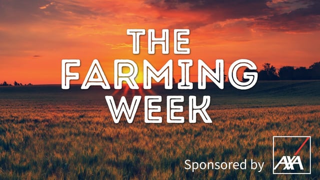 The Farming Week: Michael Gaine case update, CAP protests in Dublin, new TB plan