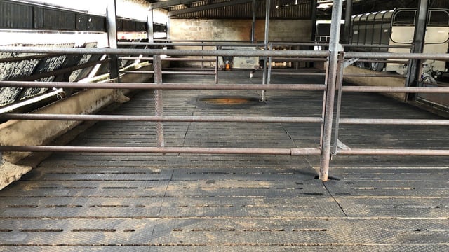 Floor type: 'Rubber mats seem to be a happy medium'