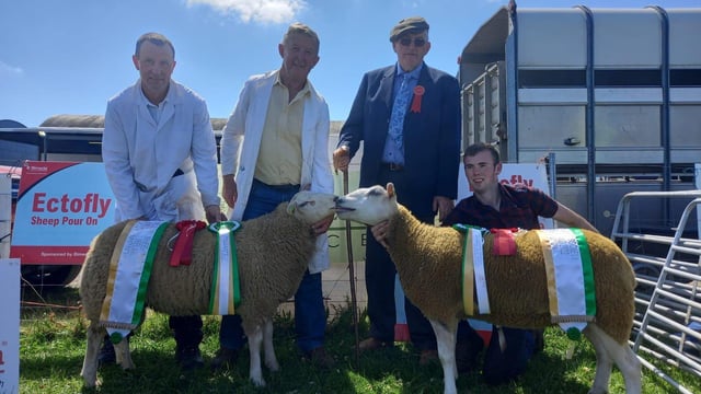 Galway flocks come out on top at the Belclare All-Ireland Championships