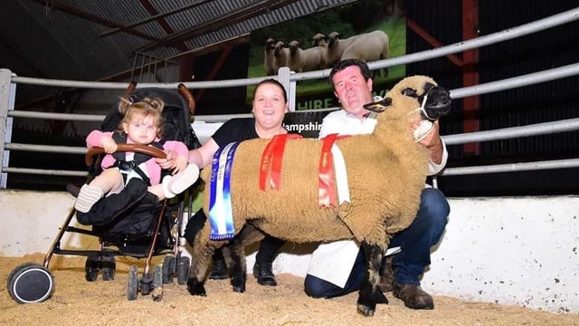 Record prices achieved at the Hampshire Down premier sale in Tullow