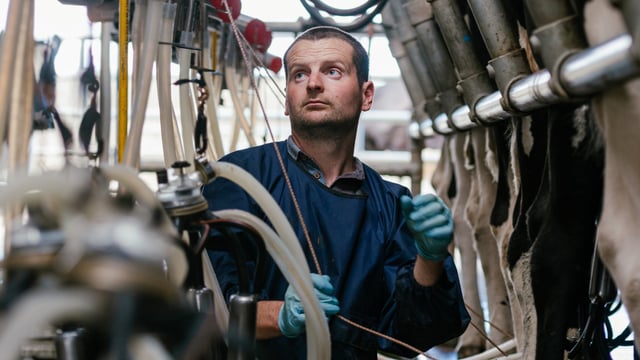 Quality Milk Awards series: 100-year-old finalist farm