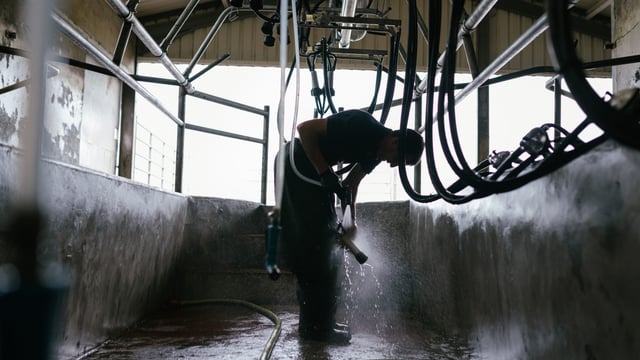 Quality Milk Awards series: From pharmacy to parlour