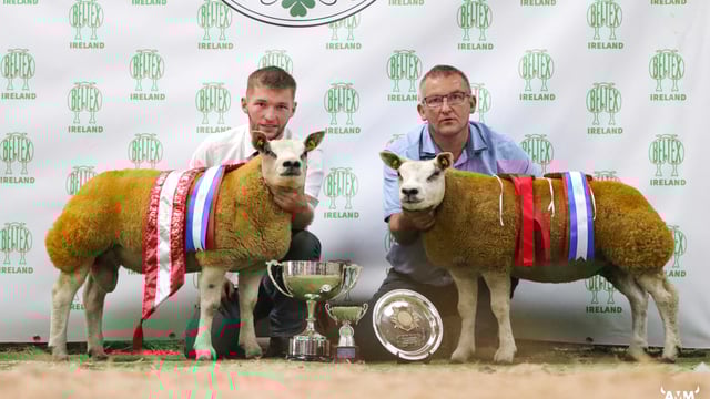 Belgian Beltex premier sale hits high of €2,850