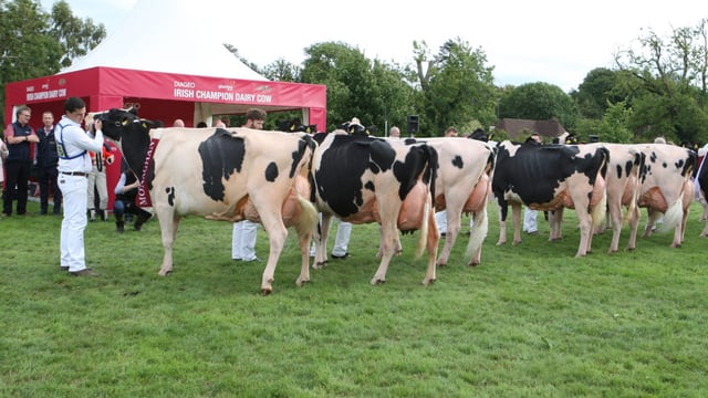 79th Annual Virginia Show to get underway tomorrow
