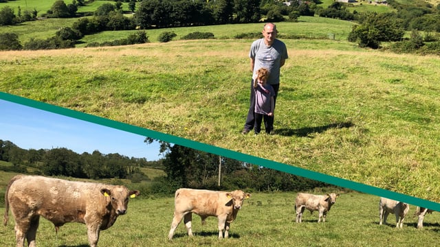 Beef Focus: Suckler farming on 'the highest hill' in mid Cavan