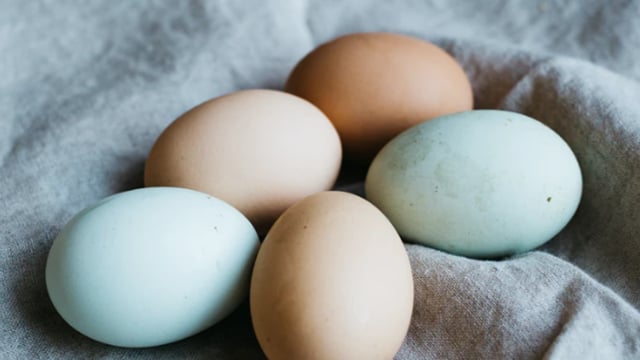 FSAI issues warning on cooking duck eggs amid salmonella concerns