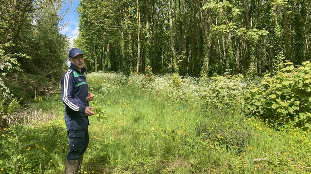Farming for Nature: Dairy farmer cuts nitrogen use by 25%