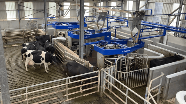 Buildings Focus: 3 robots for a 230-cow Tipperary farm