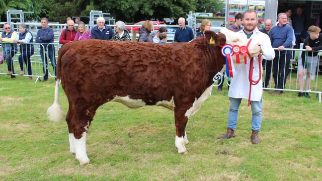 Opinion: NI agri show societies deliver in spades