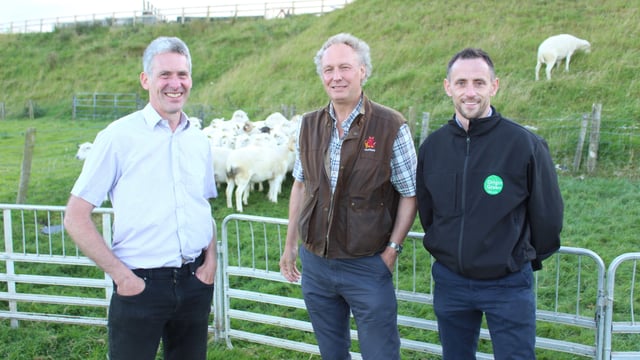Input costs and grass shortage resulting in low fat score in lambs