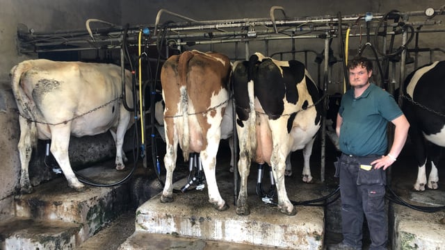 Video: Old-school system on Leitrim suckler and dairy farm