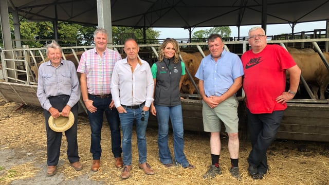 ICSA hosts US cattle rancher on tour of Irish suckler farms