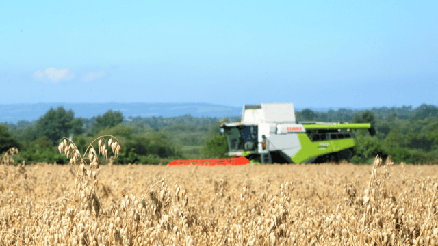 Flahavan's seeks more organic oat growers to meet demand
