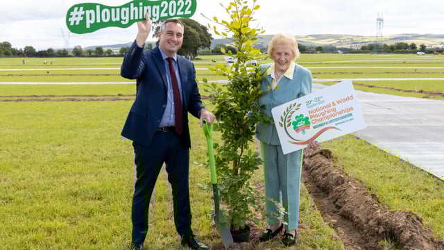 BOI to give away 1,000 hedgerow plants at Ploughing