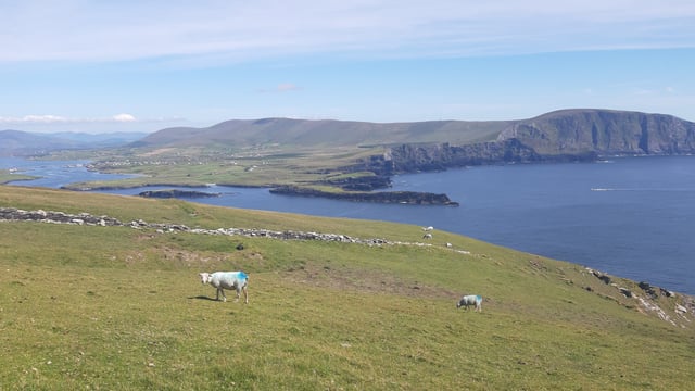 Met Éireann: Mainly dry conditions with sunshine this week