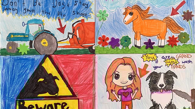 Jessy the sheepdog rounds up farm-safety comp winners