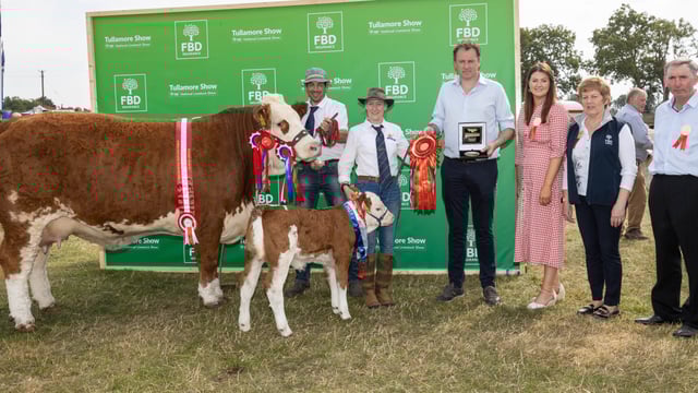 Gallery: Livestock results and winners at Tullamore Show