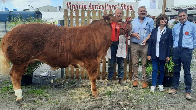 Gallery: Cattle results and winners at the Virginia Show