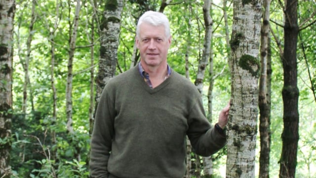 Concern over future of NI private forestry sector