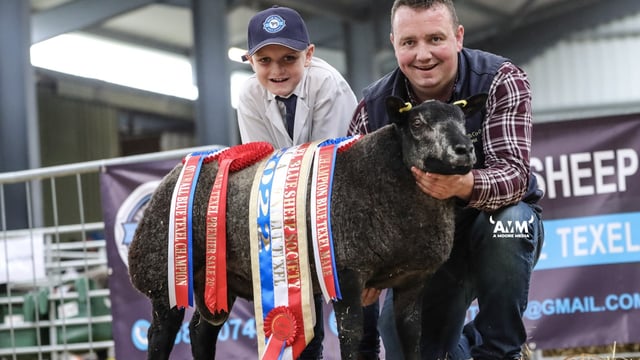 Overall champion tops Blue Texel premier sale at €2,600