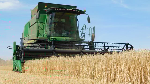 Irish Grain Growers' Group to meet agriculture minister over aid