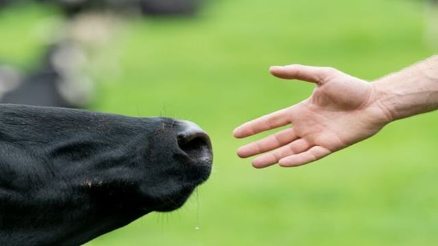 Quality Milk Awards series: Meet this year's finalists