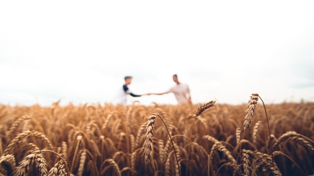 Farmers urged to take part in series of walks for mental health