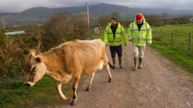 Camphill Communities ramps up Grangemockler farm activity