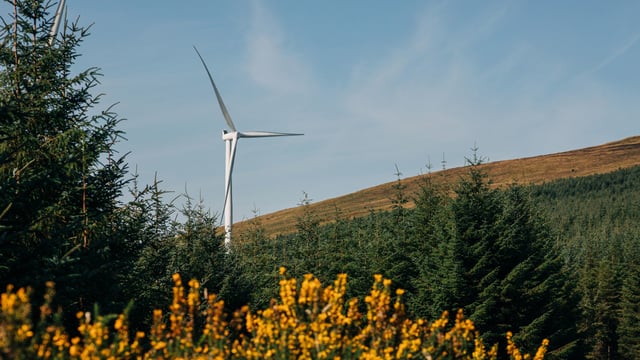Wind Energy Ireland calls for funding for planning system