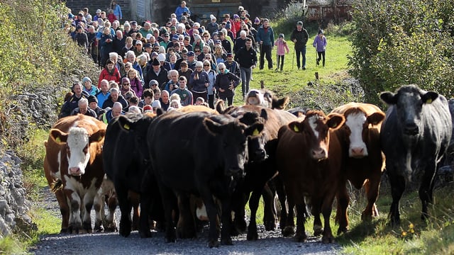 Burren Winterage Weekend offers packed programme