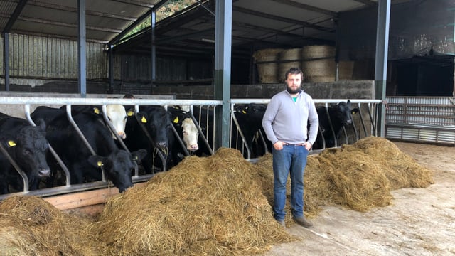 How this young beef finisher is securing 20c/kg above market price