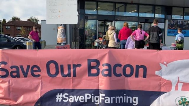Processors urged to increase price paid to pig farmers