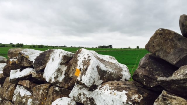 Weather: Fairly dry for midweek but less settled towards weekend