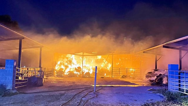 Gardaí investigate several fires set at Westmeath horse yard