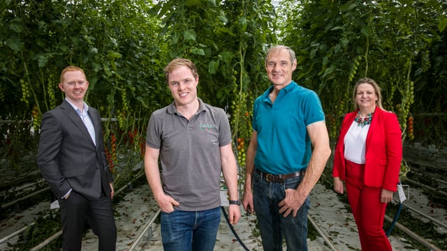 Tomato company to switch to renewable gas in trial project