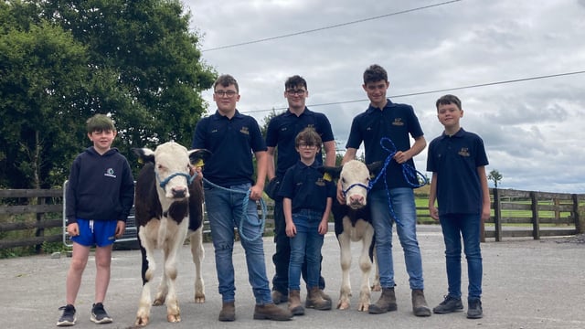 Hereford groups set up calf-rearing programme for charity