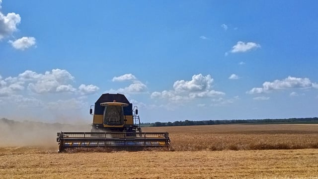 Five EU countries sign position to extend Ukrainian grain ban
