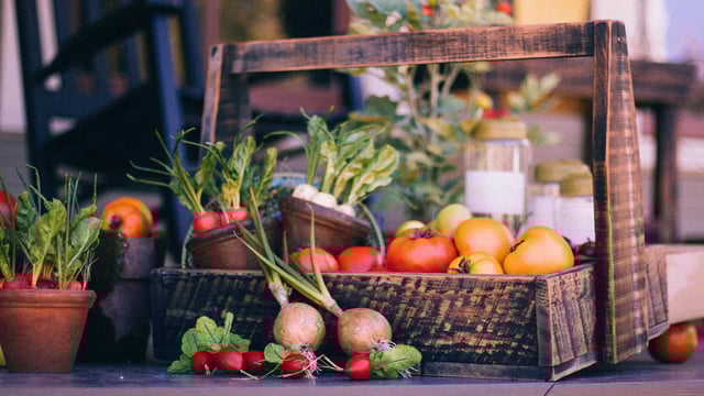 International food commodity prices continue to decline