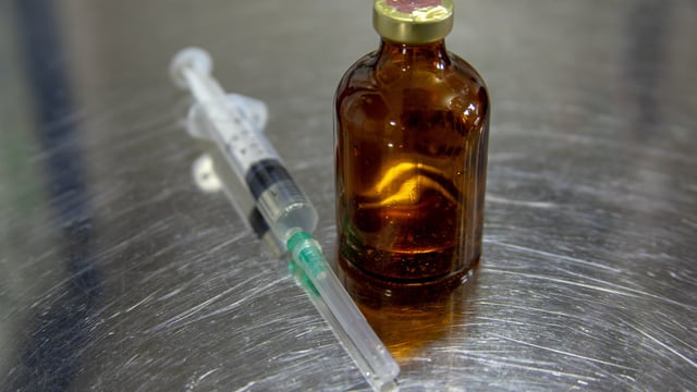 Call for removal of animal medicines from scope of NI Protocol