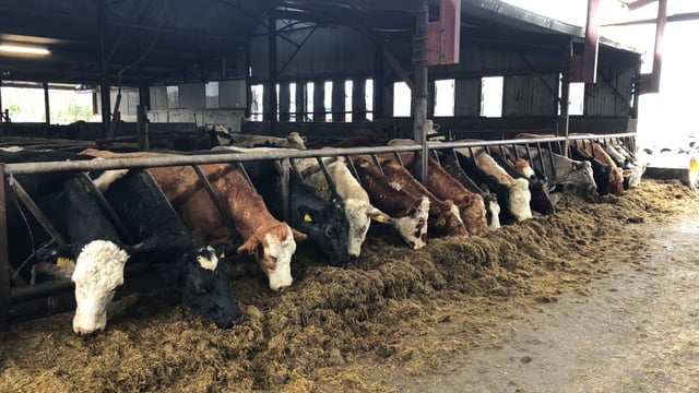 Beef prices 'must move further and faster'