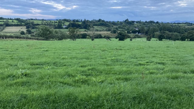Building grass now for next spring