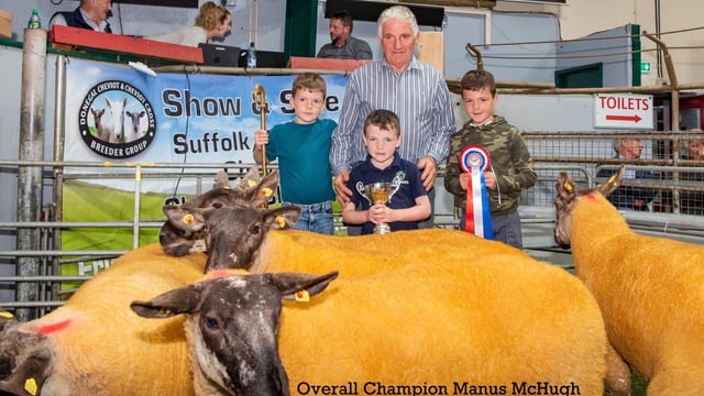 Donegal Cheviot sale sees prices top €360