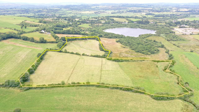 'Lovely 17.5ac lakeside holding' for sale in west Cork