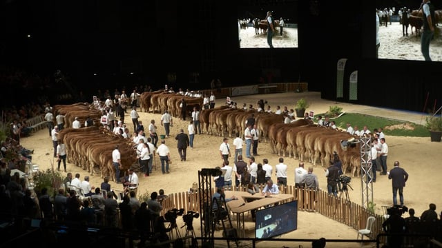 Sommet de l'Élevage gets underway in France today