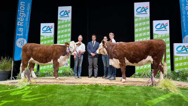 Ireland to host next European Hereford Breed Conference