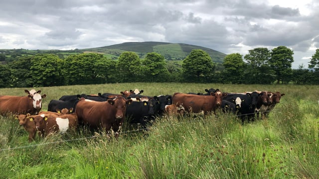 ACRES: Farm measures to get 'priority access' to scheme
