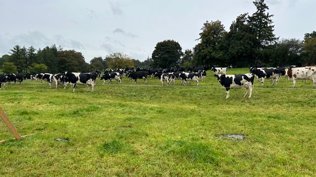 Lakeland concerns over pace and direction of policy for NI dairy